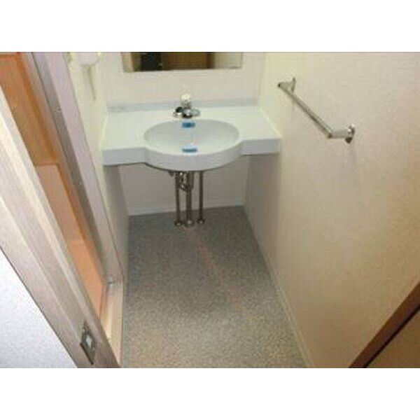 メゾン・ド・ヴィレ品川1301号室 洗面