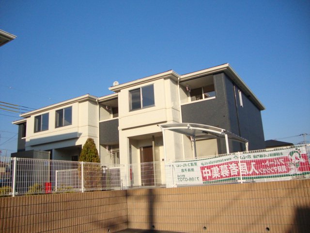 Ｆｅｌｉｃｉａ　ａｍｅｌｌｏｉｄｅｓの外観画像