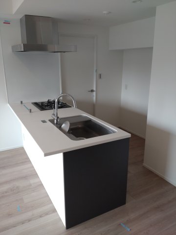 SYFORME ITABASHI Ⅲ1002号室 ※同タイプ参考写真です（natural）