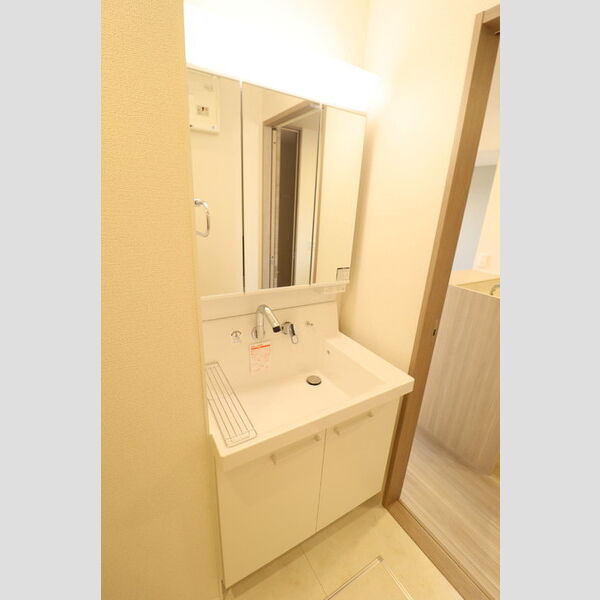 D-comodo深大寺北町303号室 洗面所