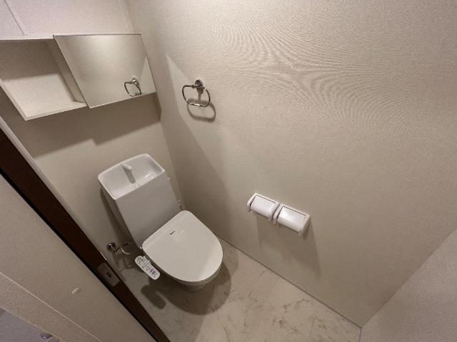 グランプラム本町（ＧｒａｎＰｌｕｍ本町）208号室 トイレ