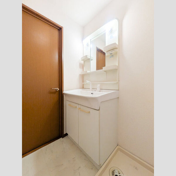 プルメリア203号室 洗面