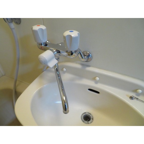 コスモ・ポーリ0202号室 洗面台