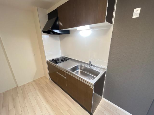 グラン・レセルバ浦和202号室 キッチン