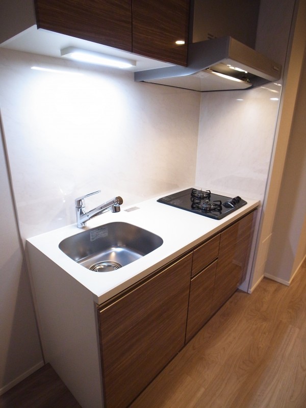ロイジェント新高島平3階 キッチン