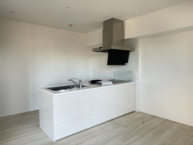 フロンティア新宿タワー1015号室 キッチン