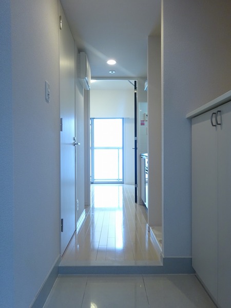 プラチナコート多摩川イースト502号室 その他