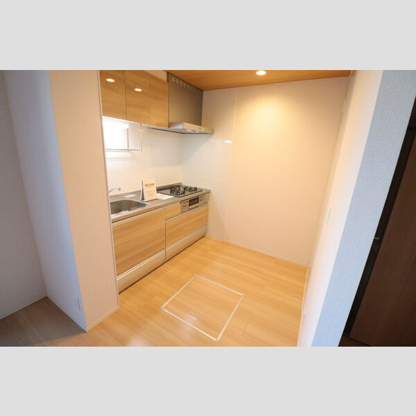 ヴューテラス ナカイ システムキッチン