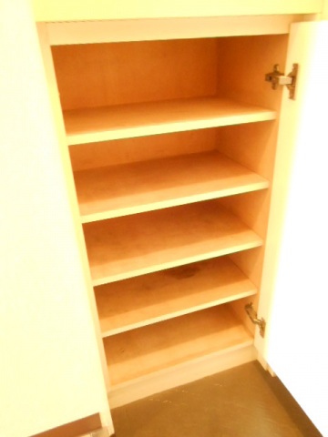 スカイコート綱島第2421号室 シューズボックス