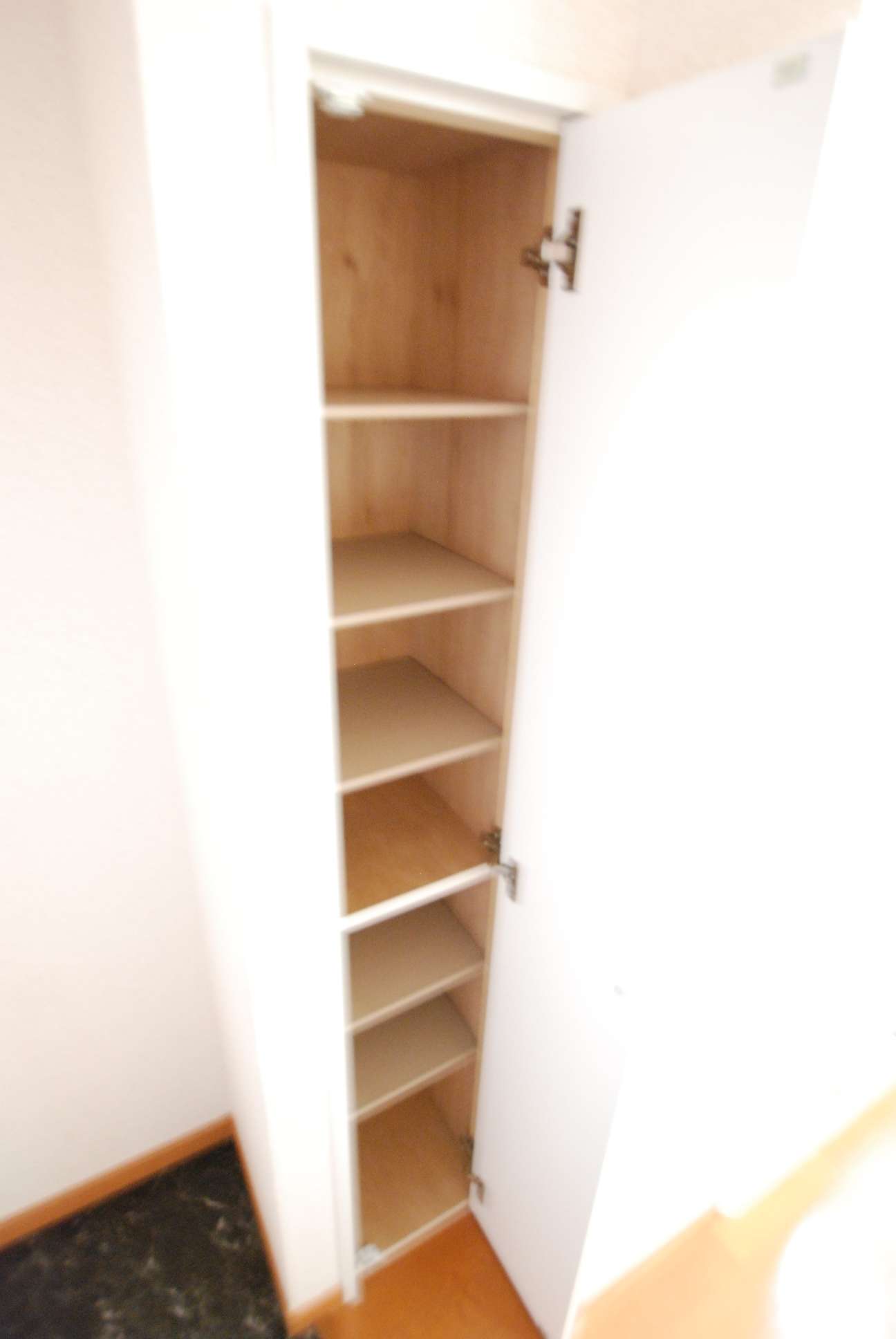 レオパレスルーブルⅡ204号室 部屋その他