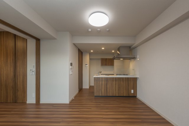 DIPS上野NORTH1003号室 リビング