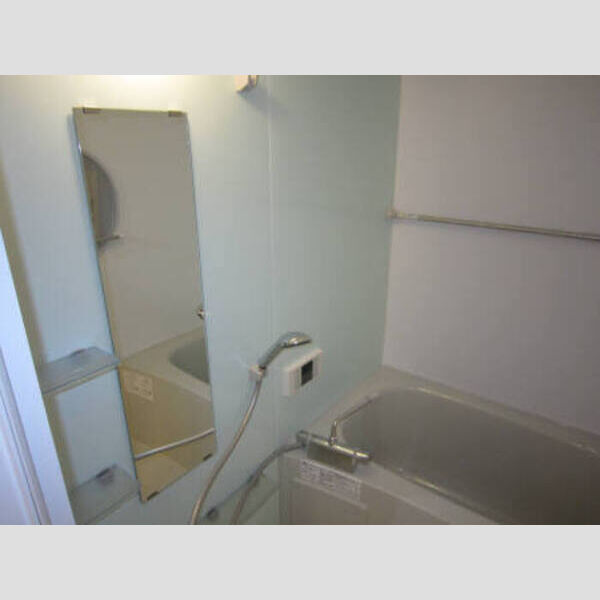 ルミナーレ町田303号室 303浴室