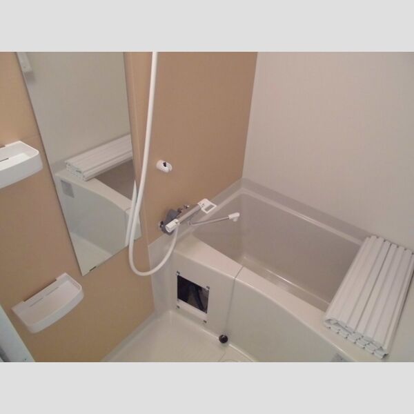 フィールドライズ日本橋401号室 浴室