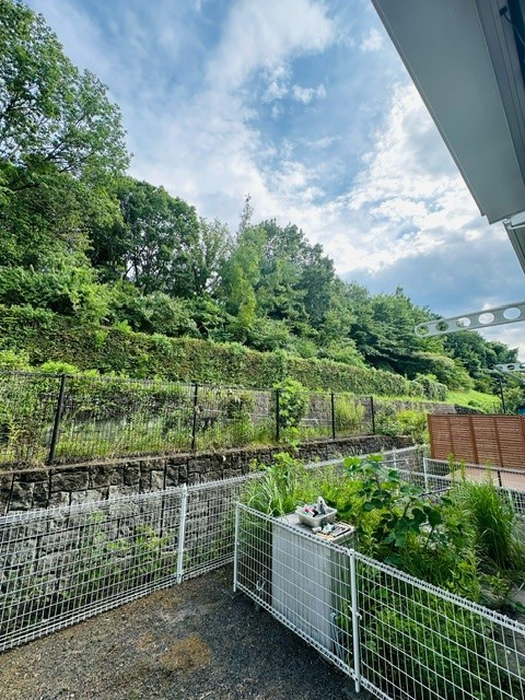 メゾン南大沢ＢB102号室 展望