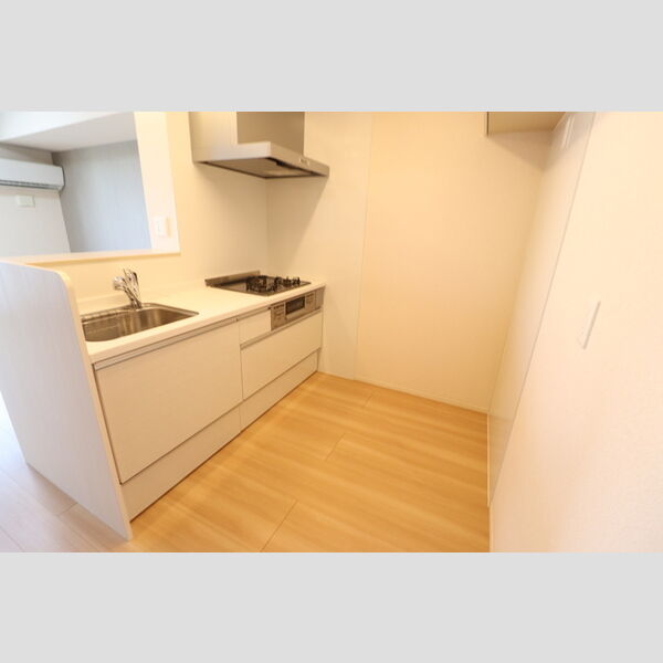 コモドTEN201号室 システムキッチン