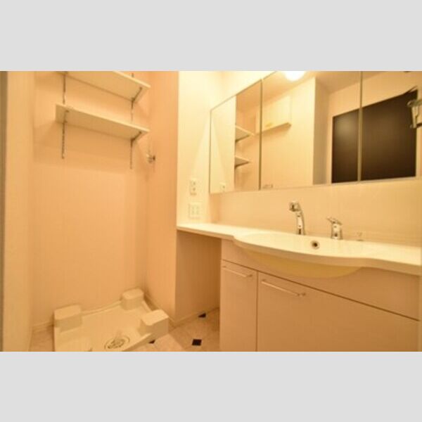 グランイーグルB101号室 洗面室