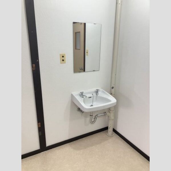 さがみ野東洋マンション201号室 洗面所