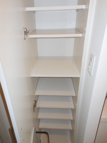 ガーラ・プレシャス渋谷6階 収納豊富です