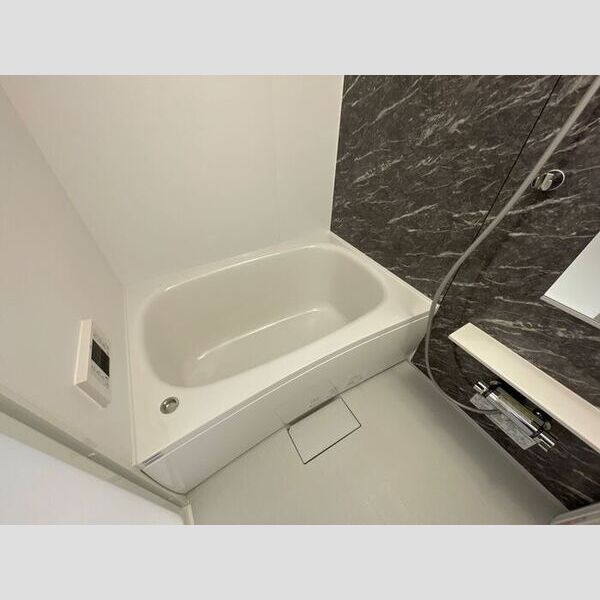 ルリアン綾瀬Ⅱ201号室 浴室