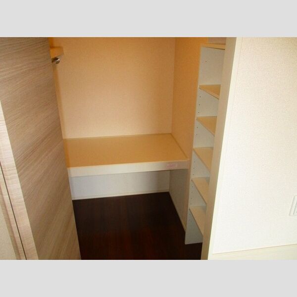 ハーモニックコート羽鳥野　B306号室 収納