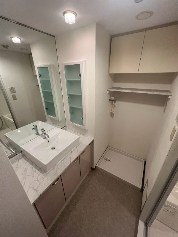 藤和上池台ホームズ 洗面