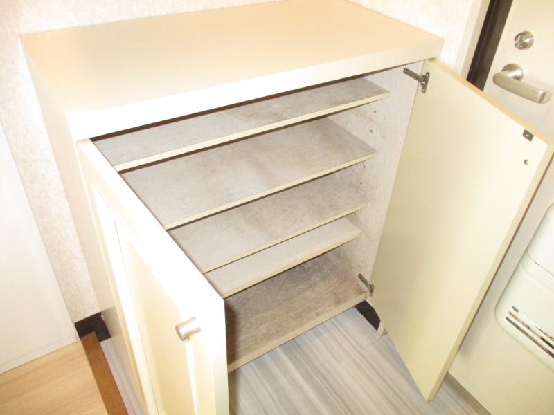 ヒルズヴァンベールD棟 収納