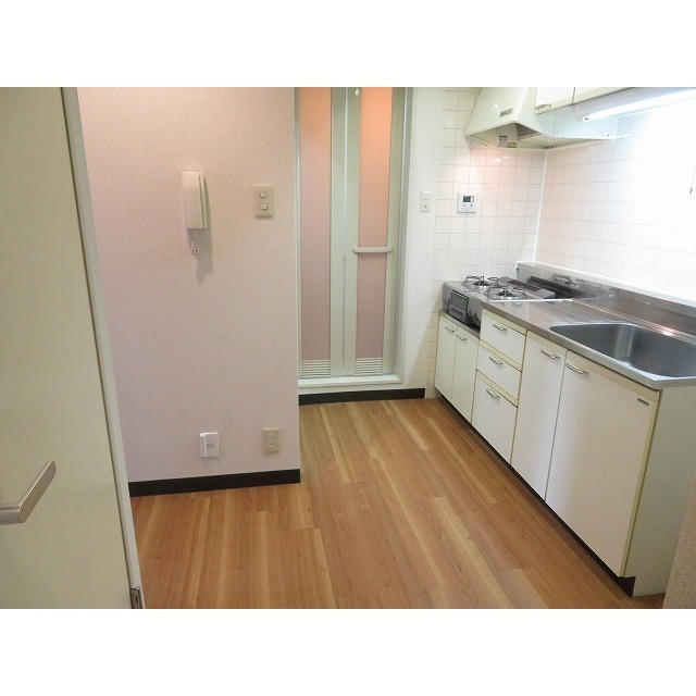 ネオキャッスルＯ’Ｓ0201号室 キッチン