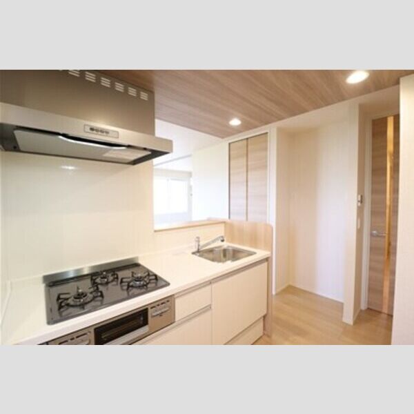 Ferro Risaia202号室 キッチン