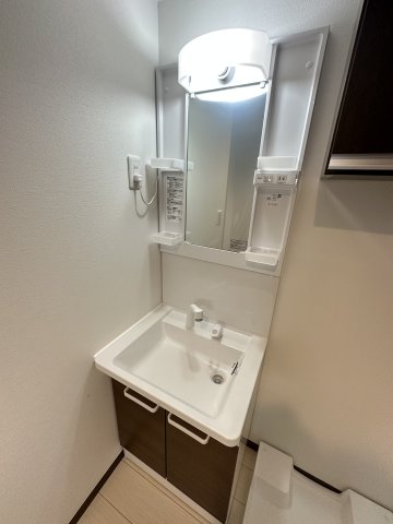ベイルーム湘南台103号室 洗面