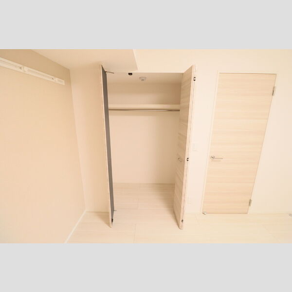 D Paina 中野島Ⅱ202号室 クローゼット