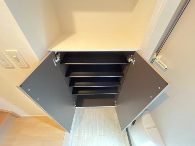 パピヨン・シャルム シューズボックス