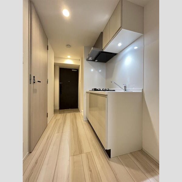 S-RESIDENCE板橋大山802号室 リビング