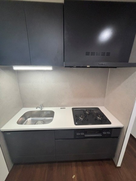 Ｔｈｅ　Ｓｈｉｎａｇａｗａ　Ｅａｓｔ　Ｒｅｓｉｄｅｎｃｅ2階 キッチン