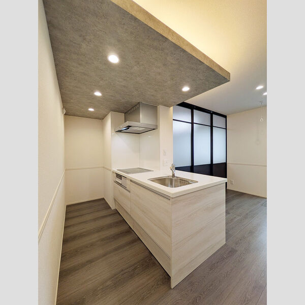 D-ROOM大林 キッチン