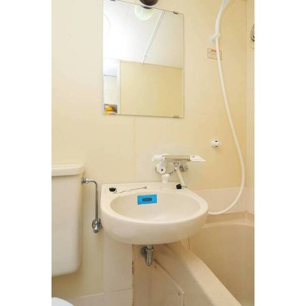 メゾン・ド・グルロー 洗面