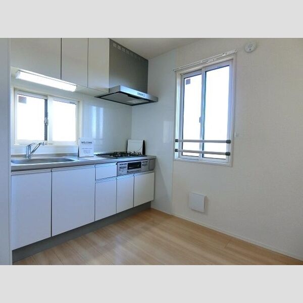 メゾン丸山201号室 システムキッチン
