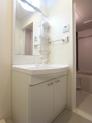 リブリ・グラン 関口 洗面