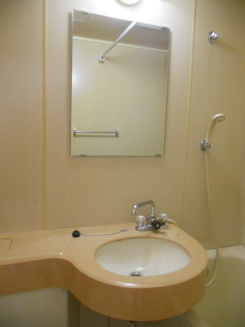 ベルハイツ相模原0202号室 洗面所