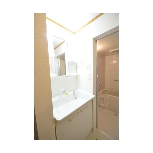 プレジール池上103号室 洗面