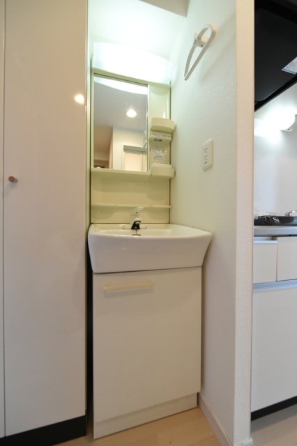 スカイコート武蔵新田6階 洗面