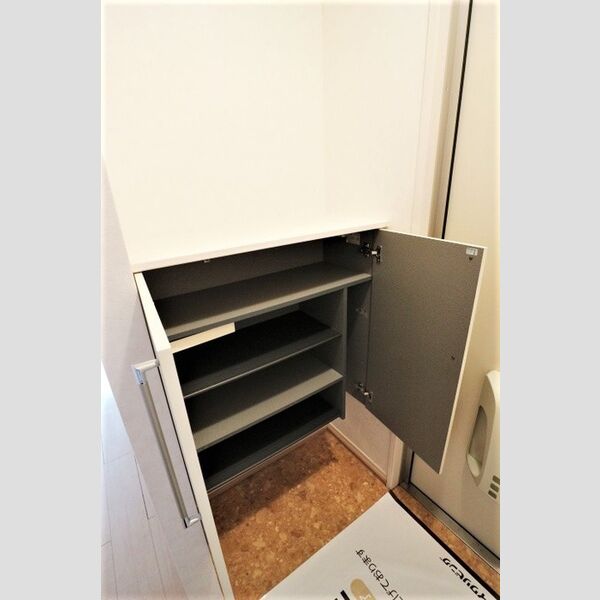 ラフォーレ上ノ台　B305号室 シューズボックス