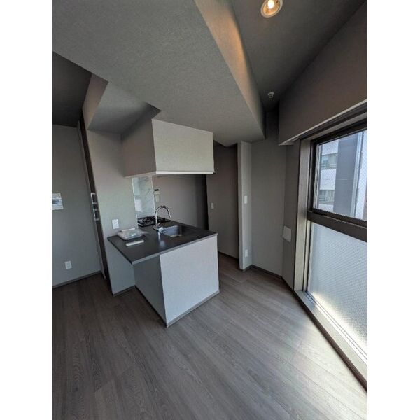 ミルーナヒルズD駒込 キッチン