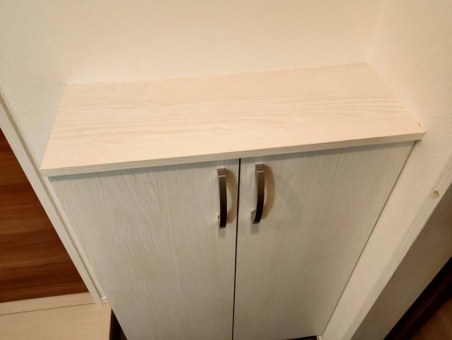 axia tokiwadai401号室 収納