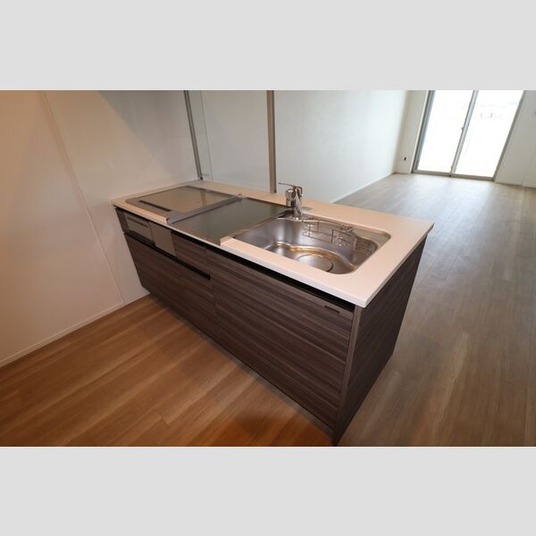 THE RejuvePort KISARAZU0803号室 システムキッチン