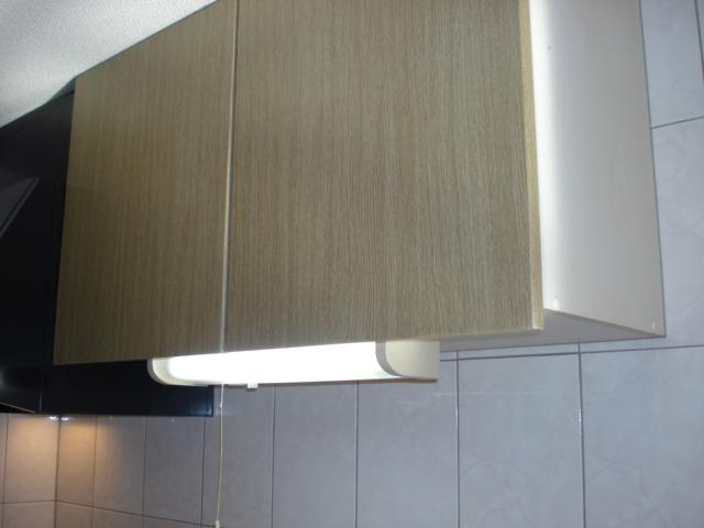 メゾン・ド・ケヤキ101号室 キッチン吊戸棚