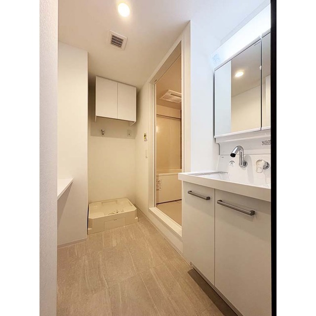 Skuld江東牡丹301号室 シャンプードレッサー