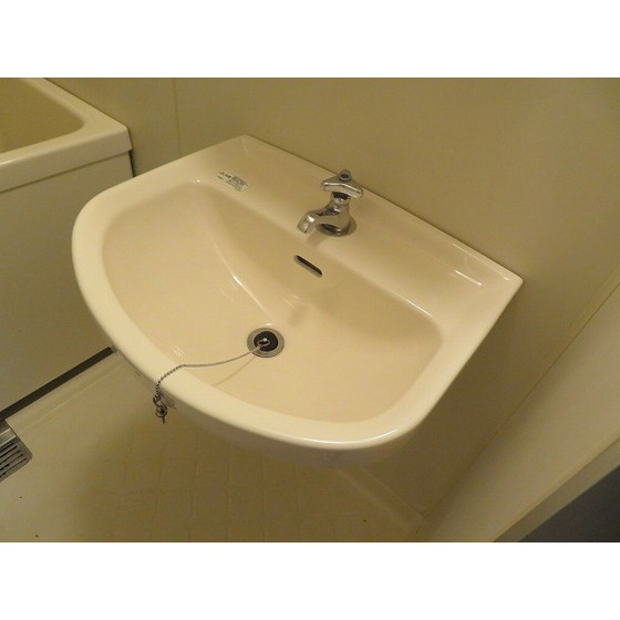 ウエスト立川0202号室 洗面ボール