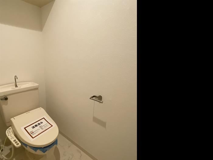 ロイヤルフラット野毛山弐番館 トイレ