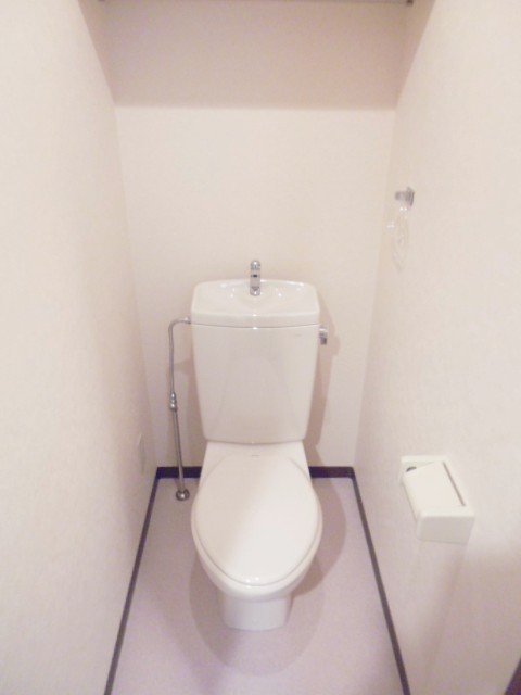 ＮＴ　ＣＯＵＲＴ1002号室 トイレ