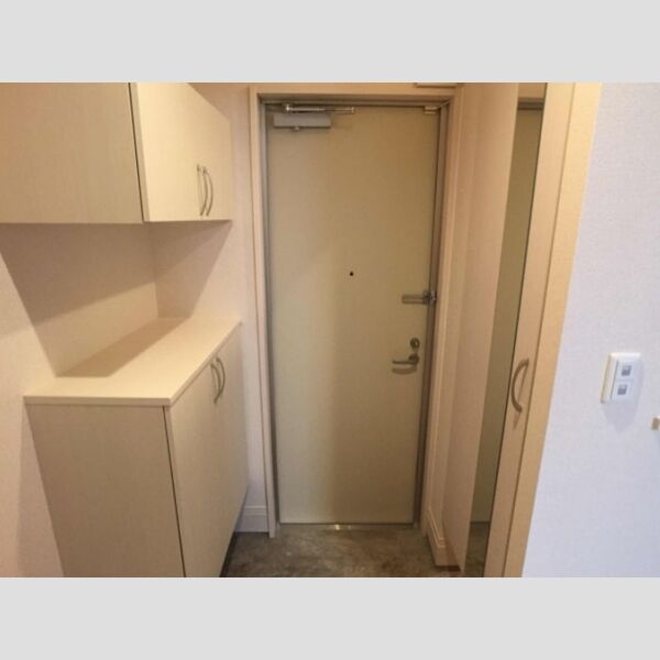 ロイジェントパークス レイクタウン Ⅱ　F 玄関